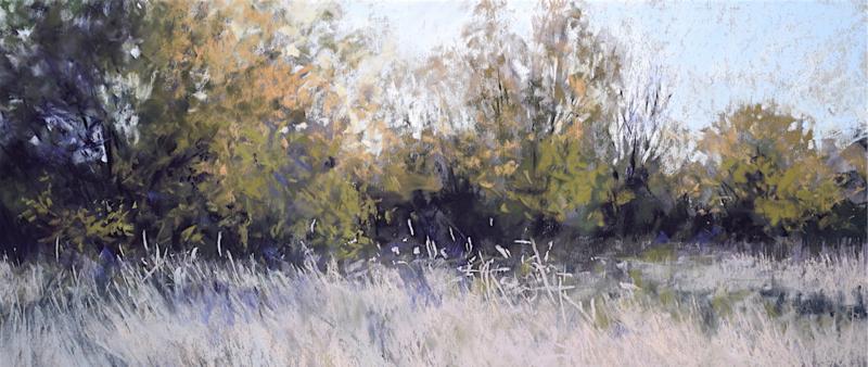 After Work: Weiden in Pastell
