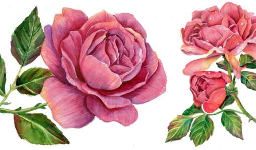 After Work: Realistische Blumen Malen leicht gemacht